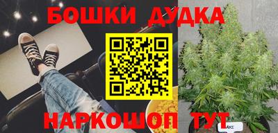 a pvp Гай