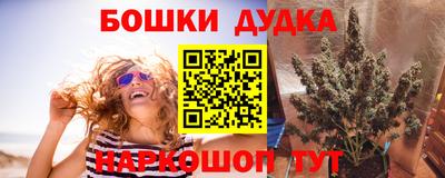 a pvp Гай