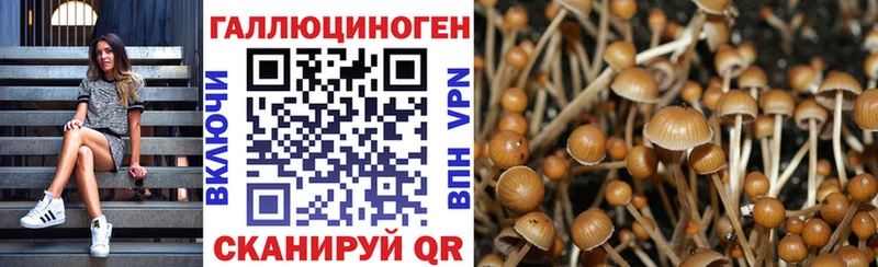 даркнет сайт  Ишим  Псилоцибиновые грибы Psilocybine cubensis 