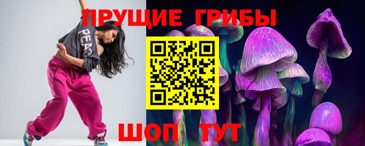 Ишим  Псилоцибиновые грибы мицелий  Псилоцибиновые грибы Psilocybe  Вход с VPN 