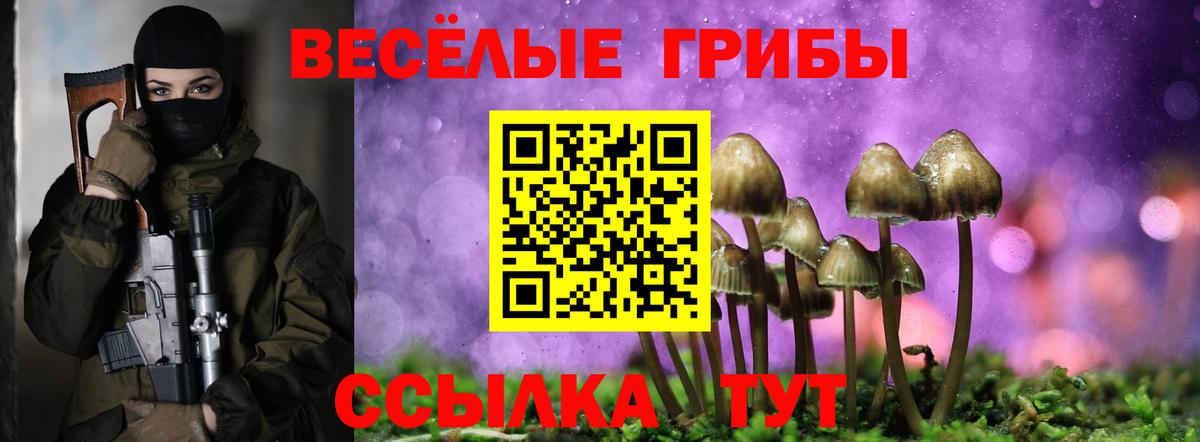 Галлюциногенные грибы ЛСД Ишим